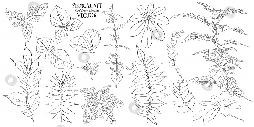 Скачать Векторная иллюстрация - Цветочный набор листьев и ветвей. Элементы дизайна ручной работы в стиле эскиза. Идеально подходит для приглашений, поздравительных открыток, татуировок, принтов. фотосток Ozero