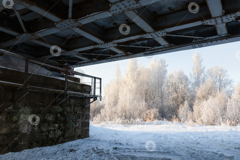 Скачать Вид из под железнодорожного моста на заснеженный лес фотосток Ozero