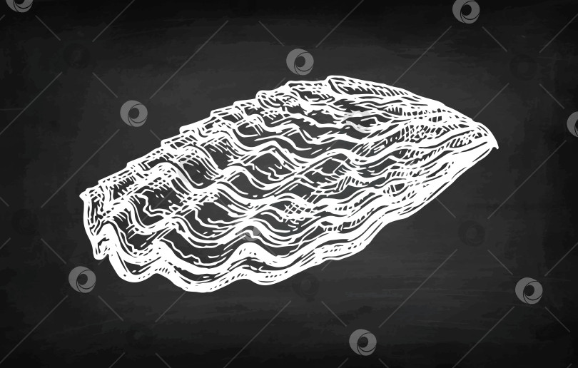 Скачать Набросок устричным мелом фотосток Ozero