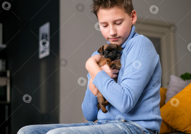 Скачать Мальчик-подросток и собака породы гриффон или брабансон сидят на диване. фотосток Ozero