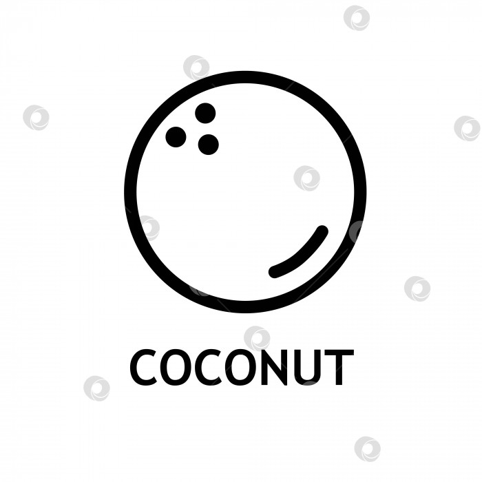 Скачать Векторный значок линии кокоса. фотосток Ozero