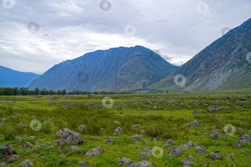 Скачать Луг у подножия гор. фотосток Ozero