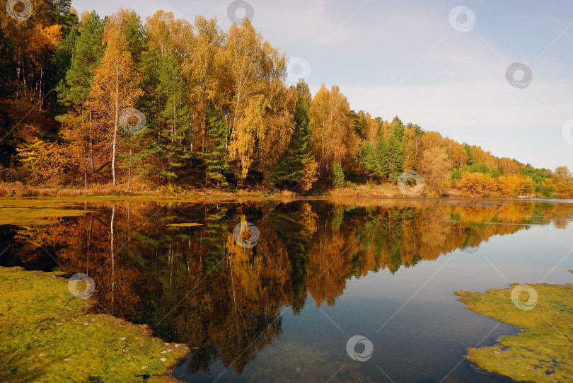 Скачать Живописный осенний пейзаж в солнечный день фотосток Ozero