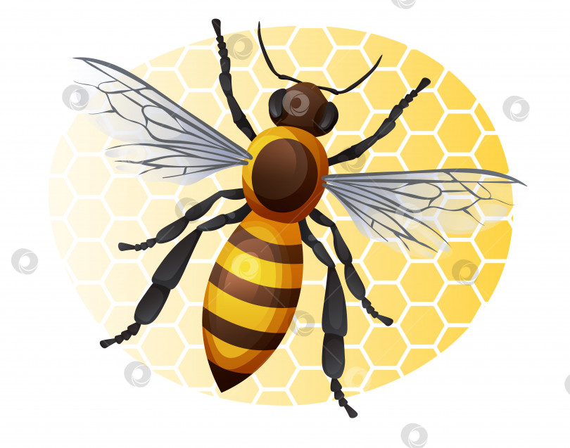 Скачать Медоносная пчела на желтом фоне. Иллюстрация полосатого насекомого, выделенная на белом фоне. Наклейка, принт, логотип фотосток Ozero