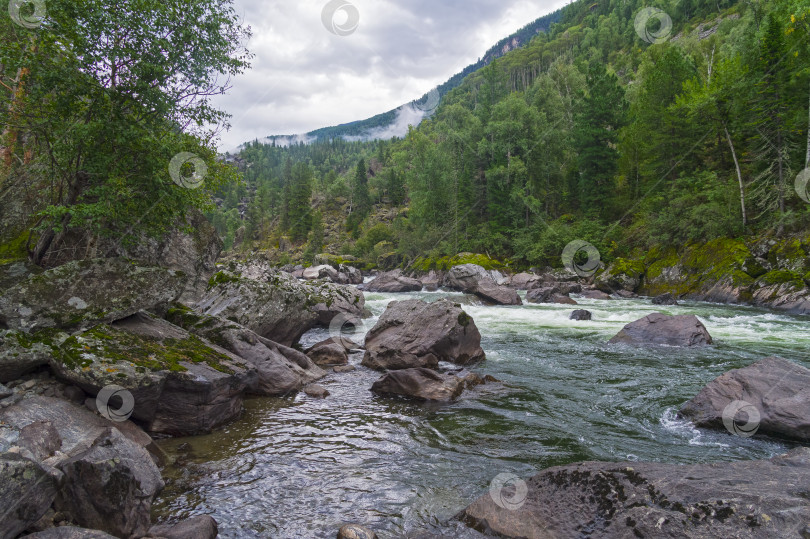 Скачать Река Чульча. Горный Алтай, Россия фотосток Ozero