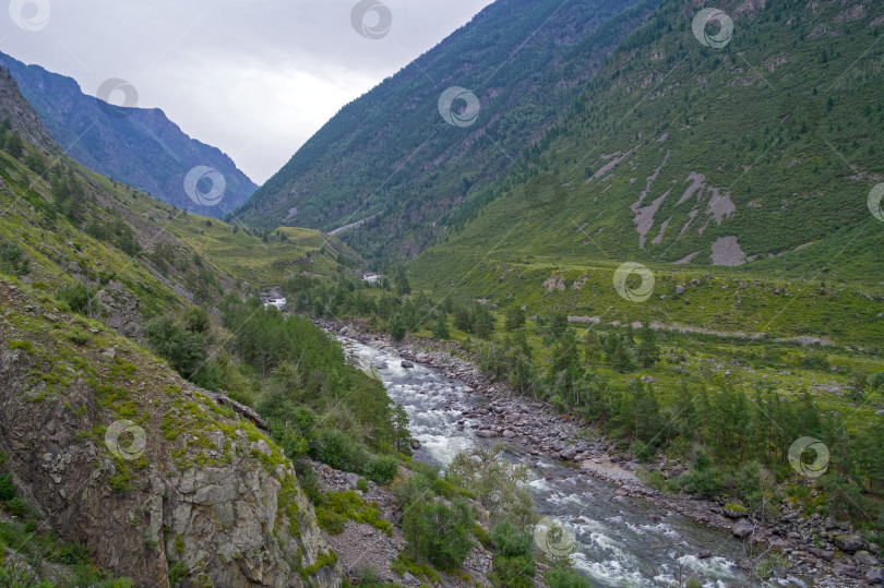 Скачать Река Чульча. Горный Алтай, Россия фотосток Ozero