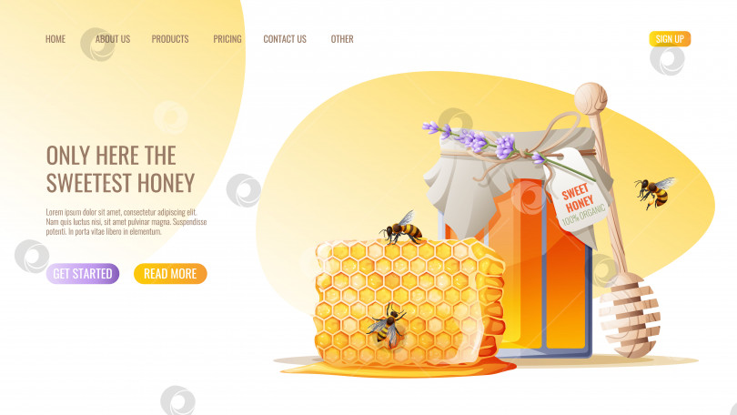 Скачать Медовые продукты. Банка с медом, соты, пчелы. Шаблон дизайна веб-страницы магазина меда. Векторная иллюстрация для баннера, рекламы, веб-страницы, обложки. фотосток Ozero