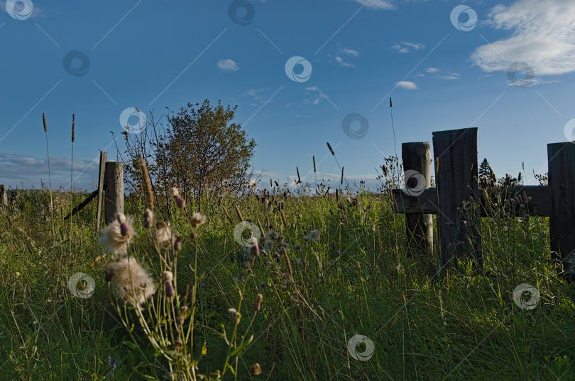 Скачать Старый забор фотосток Ozero