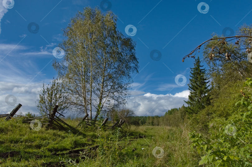 Скачать Дерево у старого забора фотосток Ozero