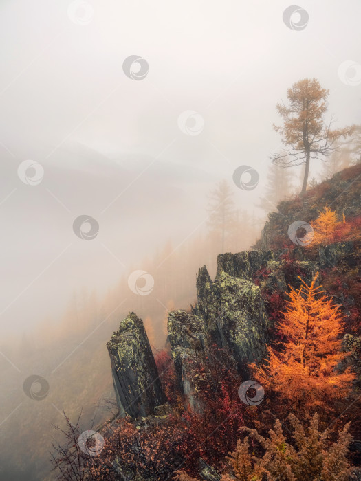 Скачать Густые снежные облака плывут над осенней лесистой горной долиной фотосток Ozero