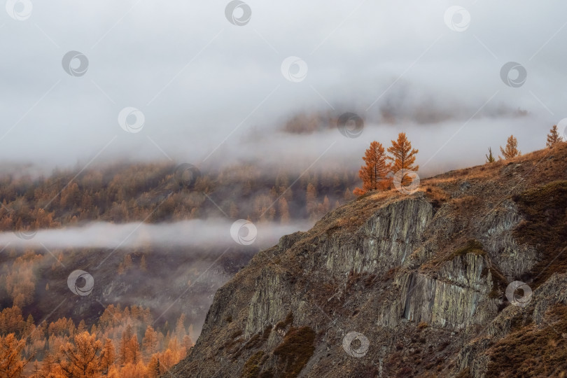 Скачать Диагональный каменистый склон и лес в густом тумане. фотосток Ozero