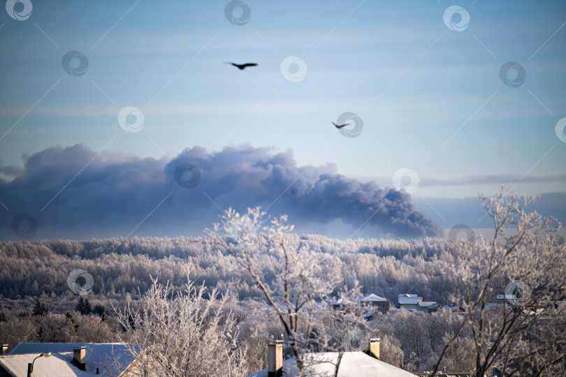 Скачать Вдали , на горизонте , виднелся дым от большого костра . фотосток Ozero