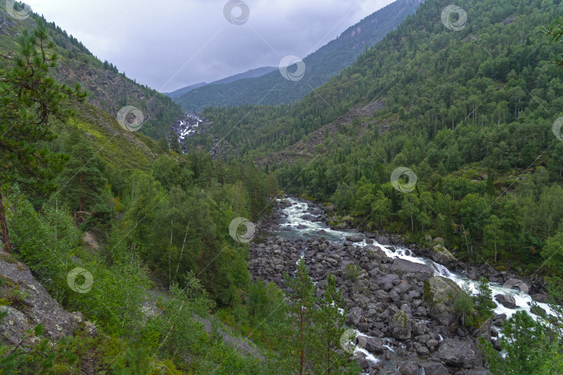 Скачать Река Чульча. Горный Алтай, Россия фотосток Ozero