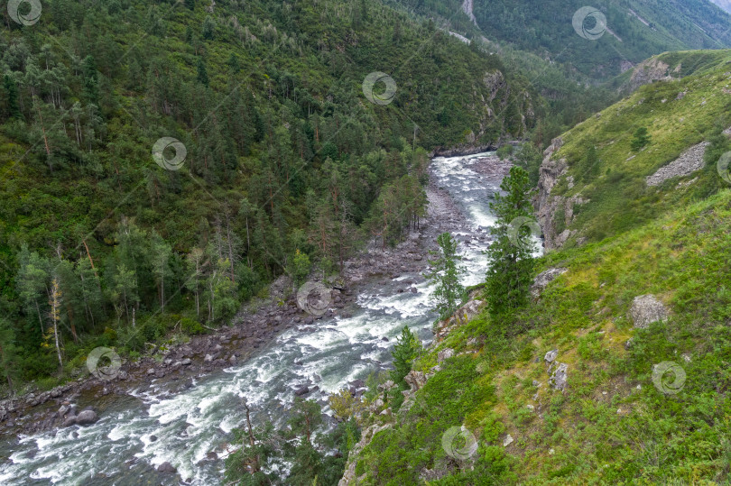 Скачать Река Чульча. Горный Алтай, Россия фотосток Ozero