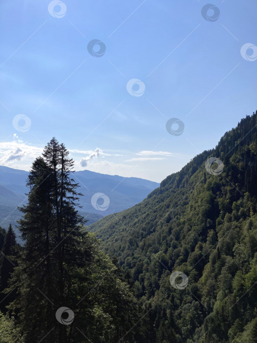 Скачать Горный пейзаж. Небо и лес. Мобильная фотография. фотосток Ozero