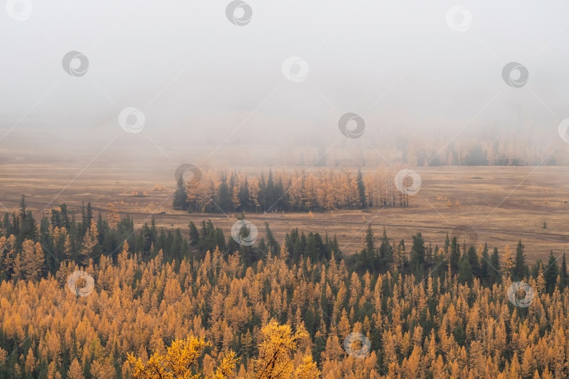 Скачать Прекрасный снимок осеннего горного пейзажа в Аллтае. фотосток Ozero