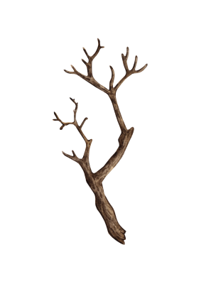 [object Object] undefined