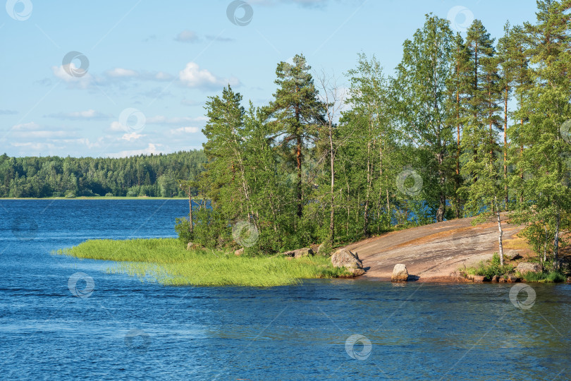 Скачать естественный водный пейзаж, неглубокая бухта с гранитными лесистыми берегами фотосток Ozero