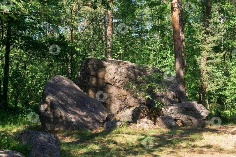 Скачать пейзаж с каменными утесами среди соснового леса фотосток Ozero