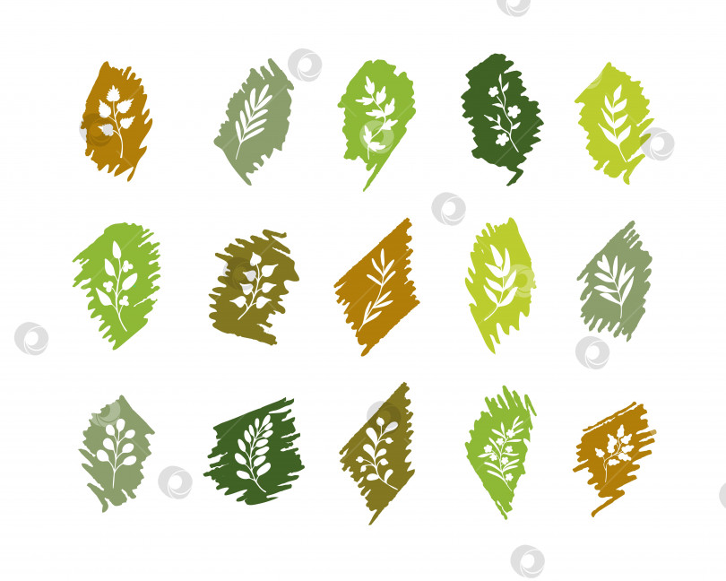 Скачать Простые нарисованные от руки фантазийные листья, веточки, травы, растения. Набор романтических каракулей на фоне штрихов фломастером фотосток Ozero