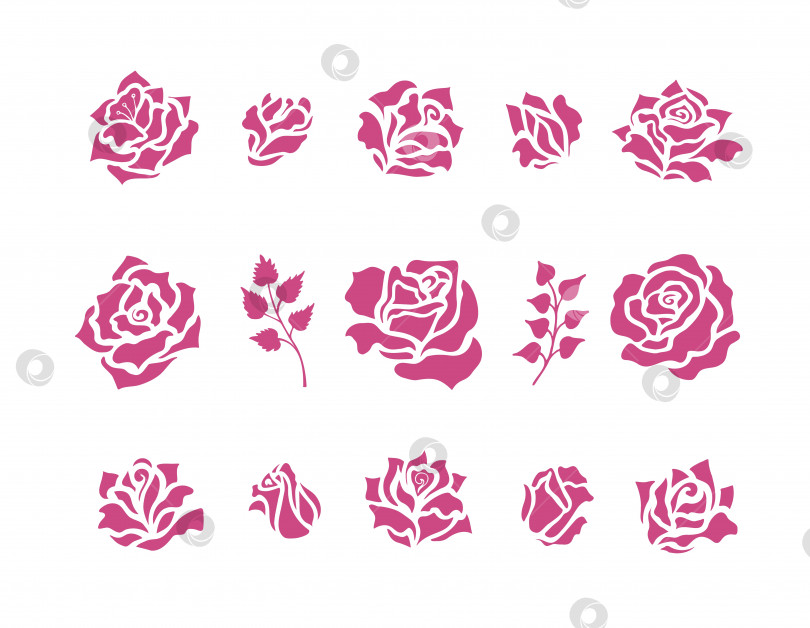 Скачать Иллюстрации с изображением цветов и бутонов роз. Коллекция цветочных элементов в оригинальном эскизном стиле фотосток Ozero