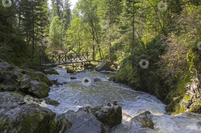 Скачать Небольшая горная река на Алтае, Россия. фотосток Ozero