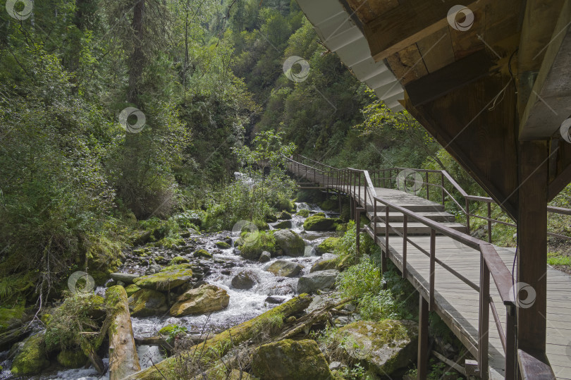 Скачать Ухоженная пешеходная дорожка к водопаду Эстубе на Алтае. фотосток Ozero