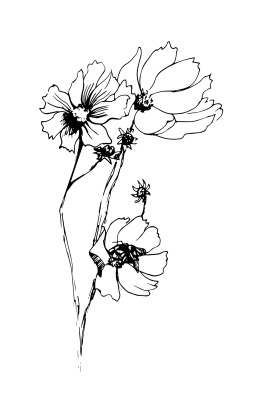 [object Object] undefined
