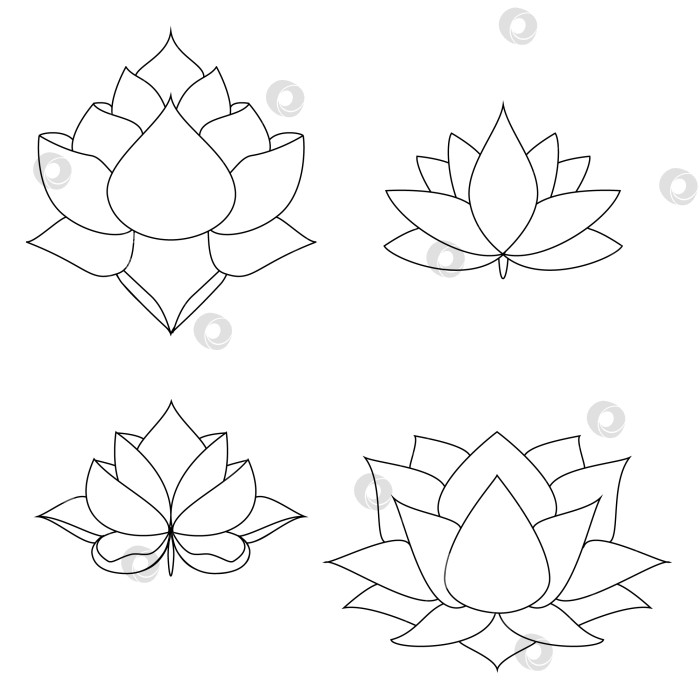 Скачать Векторная иконка водяной лилии. Символ лотоса для йоги, цветка благополучия и здорового образа жизни, элегантное цветение. Набор тонких линий с возможностью редактирования. Натуральные простые растительные элементы на белом фоне фотосток Ozero