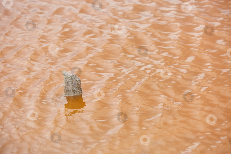 Скачать Уникальная вода в озере розового цвета. Редкое природное явление фотосток Ozero