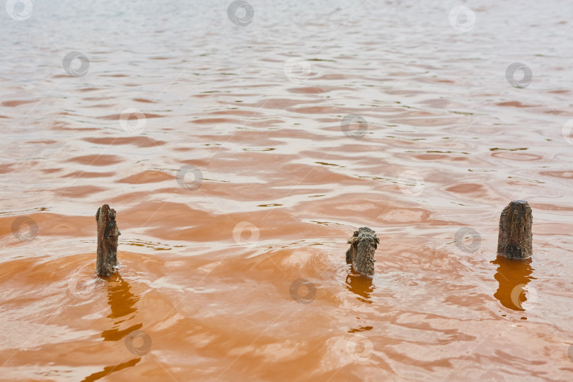 Скачать Уникальная вода в озере розового цвета. Редкое природное явление фотосток Ozero