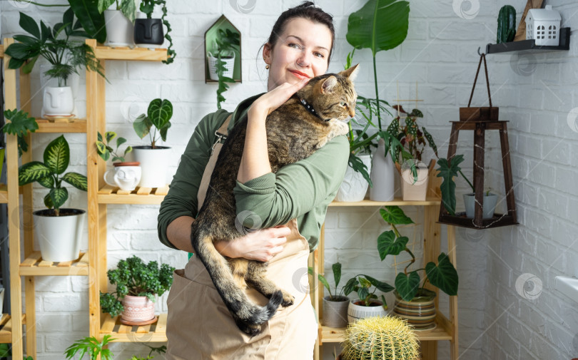 Скачать Женщина держит на руках любимую кошку рядом со своей коллекцией редких видов домашних растений в горшках на полке в интерьере дома. Домашнее выращивание растений, теплица, естественный живой уголок фотосток Ozero