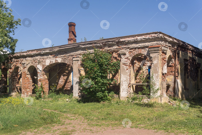 Скачать заброшенные руины древнего здания среди травы фотосток Ozero