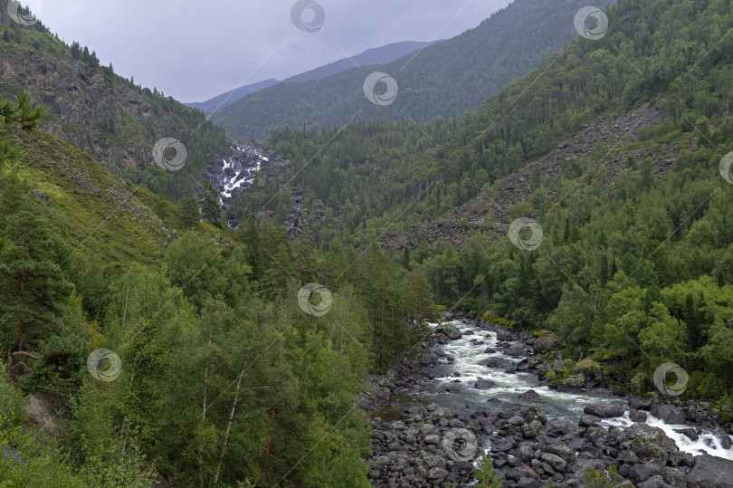 Скачать Река Чульча. Горный Алтай, Россия фотосток Ozero