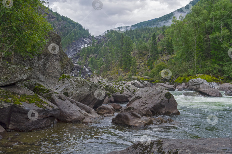 Скачать Река Чульча. Горный Алтай, Россия фотосток Ozero