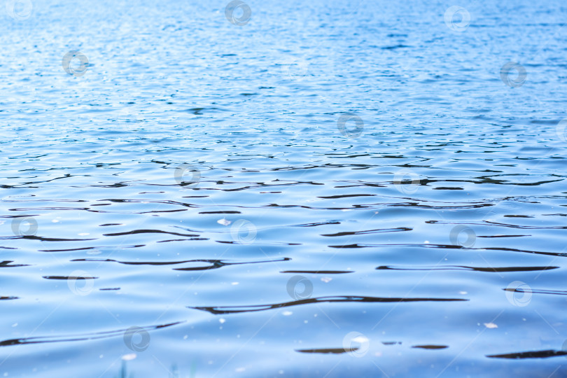 Скачать Прекрасная голубая водная гладь с многочисленными небольшими волнами фотосток Ozero