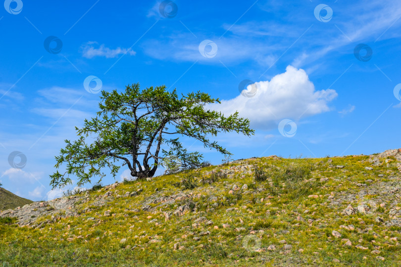 Скачать Древние горы Хакасии. Сахсыр фотосток Ozero