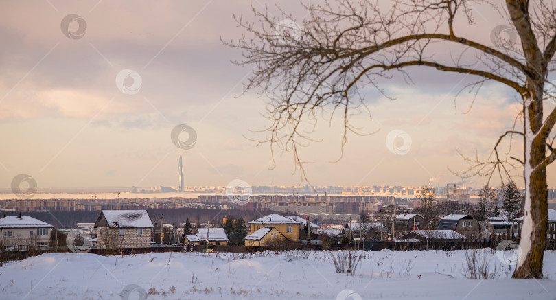 Скачать Вид на Санкт-Петербург и Лахта-центр зимой с Аннинских высот фотосток Ozero