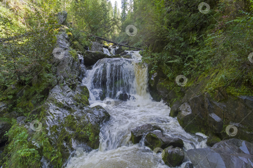 Скачать Небольшой водопад в лесу. Алтай, Россия. фотосток Ozero