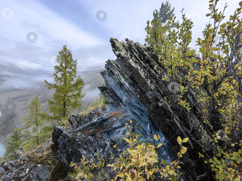 Скачать Скальник фотосток Ozero