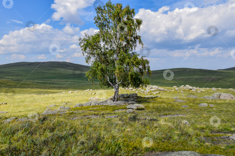 Скачать Древние горы Хакасии. Сахсыр фотосток Ozero