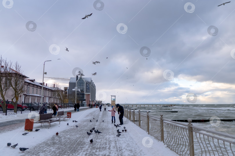 Скачать Пасмурная ветреная погода на морском курорте. Дедушка и внучка кормят птиц. фотосток Ozero