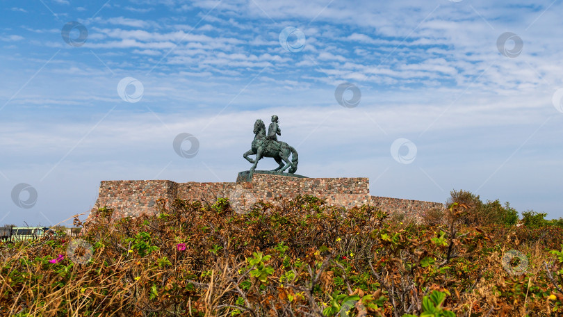 Скачать Памятник императрице Елизавете. Скульптор Г.В. Франгулян. Императрица Елизавета Петровна верхом на лошади в костюме полковника лейб-гвардии. фотосток Ozero