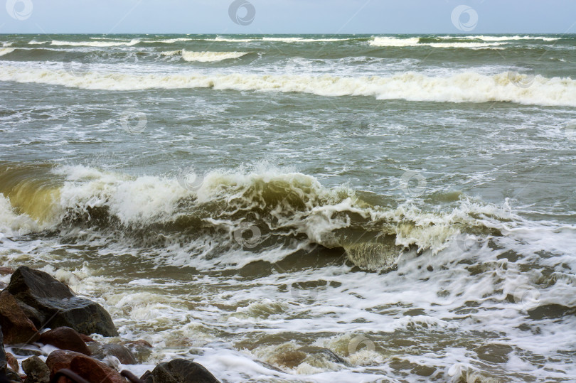 Скачать Приливы и штормы на море. Морское побережье. Волны на Балтийском море. Пустынный морской берег. фотосток Ozero