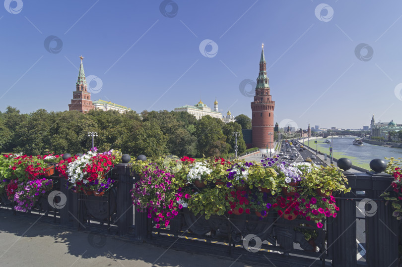 Скачать Перила Большого каменного моста, украшенные цветущими петуниями. Москва. фотосток Ozero