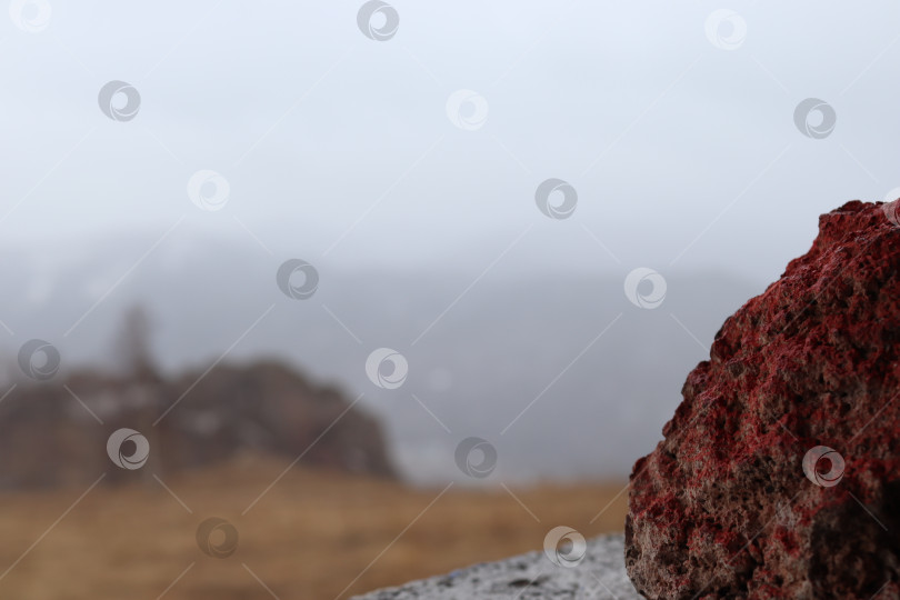 Скачать Торгашнский хребет. Красный лишайник на сиените фотосток Ozero