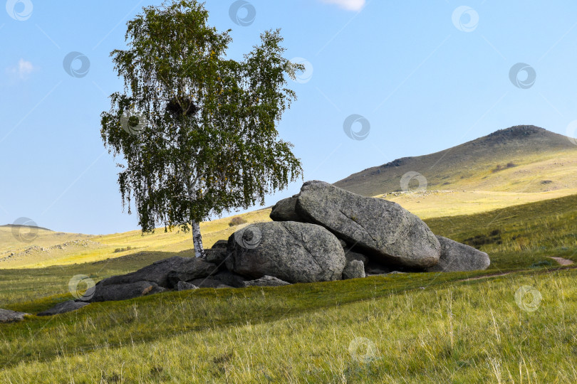 Скачать Древние горы Хакасии. Сахсыр фотосток Ozero