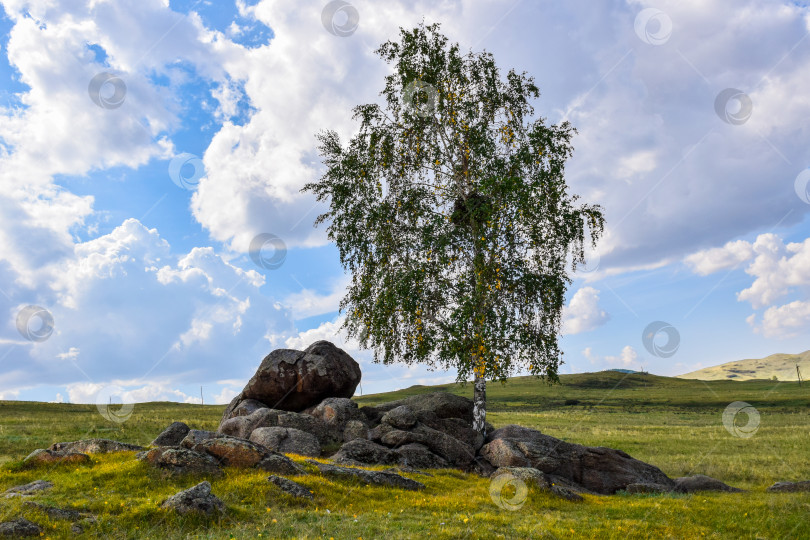 Скачать Древние горы Хакасии. Сахсыр фотосток Ozero