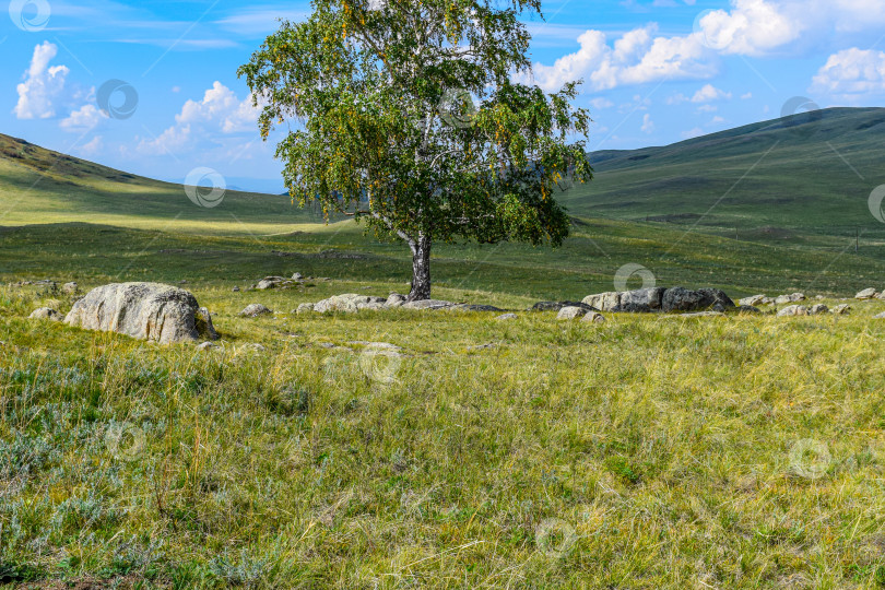 Скачать Древние горы Хакасии. Сахсыр фотосток Ozero