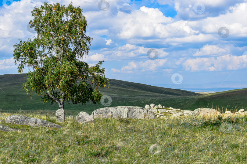 Скачать Древние горы Хакасии. Сахсыр фотосток Ozero